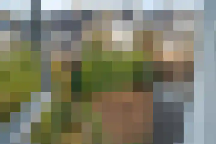 Willem Dreeslaan 43 Oosterhout thumbnail 22