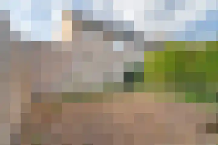 Willem Dreeslaan 43 Oosterhout thumbnail 28