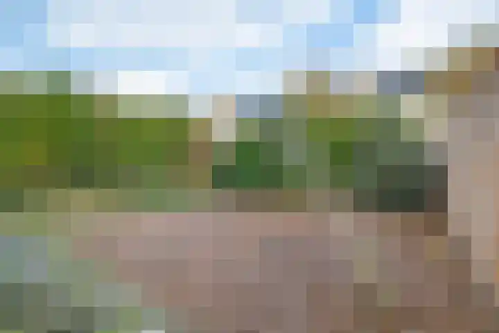 Willem Dreeslaan 43 Oosterhout thumbnail 29