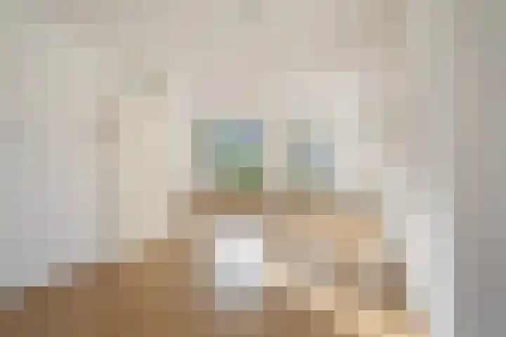 Willem Dreeslaan 43 Oosterhout thumbnail 6