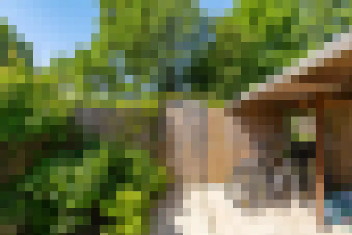 Willem Dreeslaan 5 Marum thumbnail 14