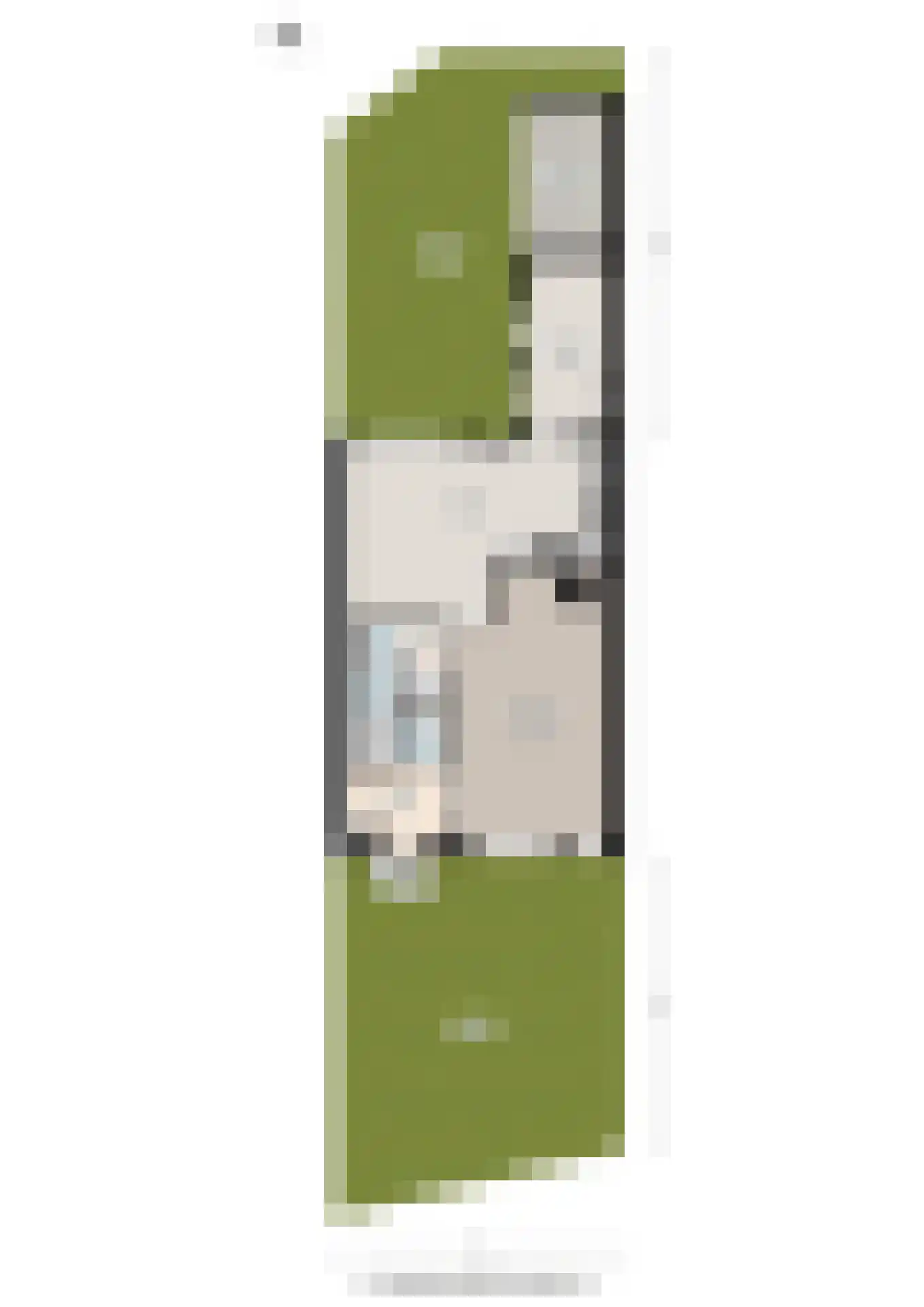 Willem Dreeslaan 5 Marum thumbnail 34