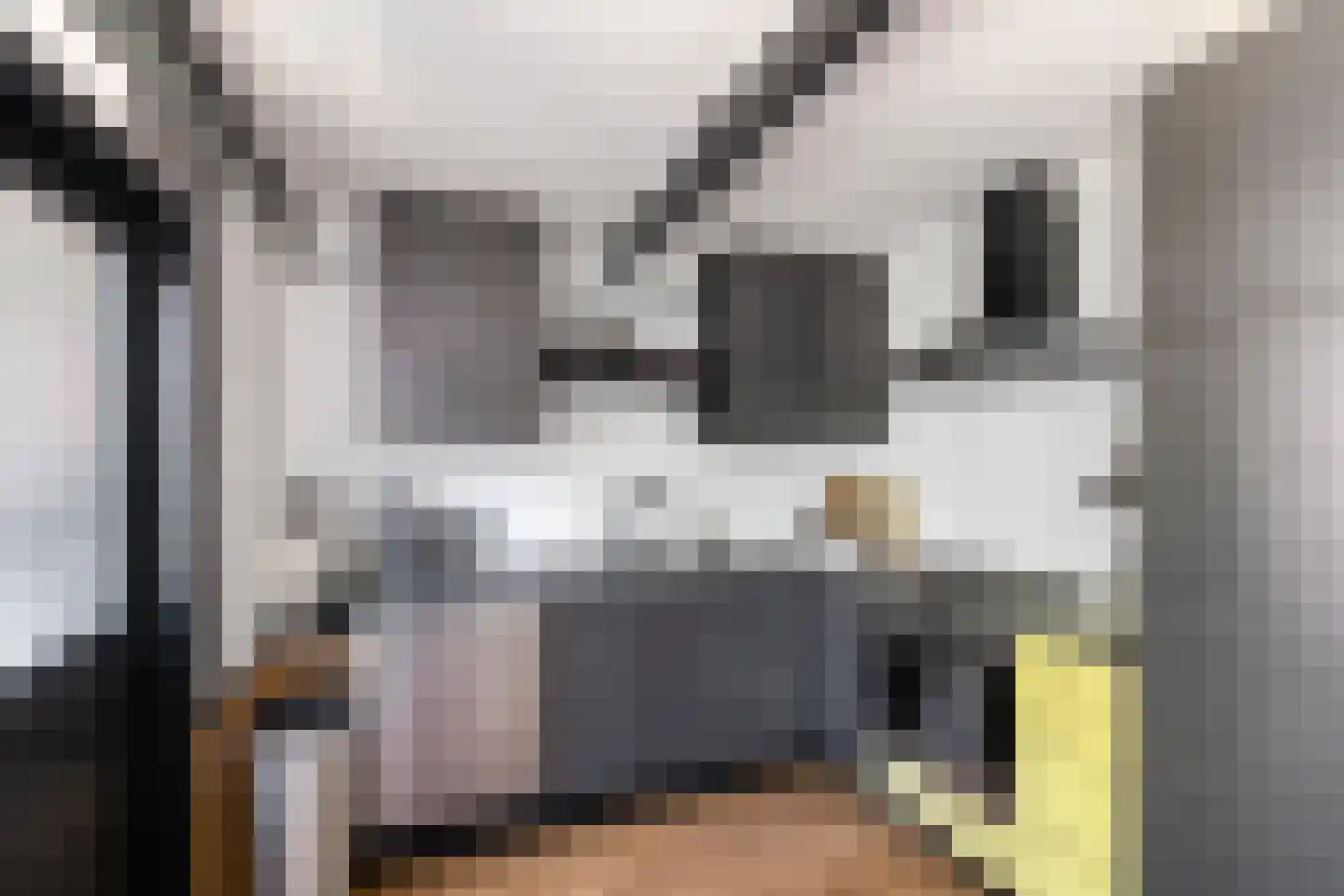 Willem Dreeslaan 5 Marum thumbnail 8