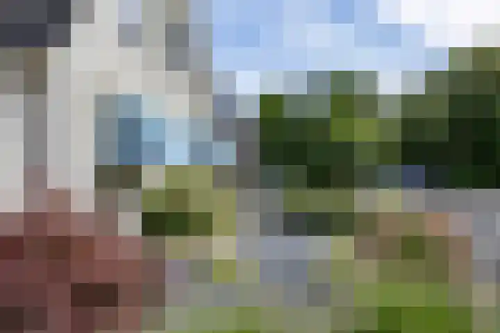 Willem Dreeslaan 52 Marum thumbnail 16