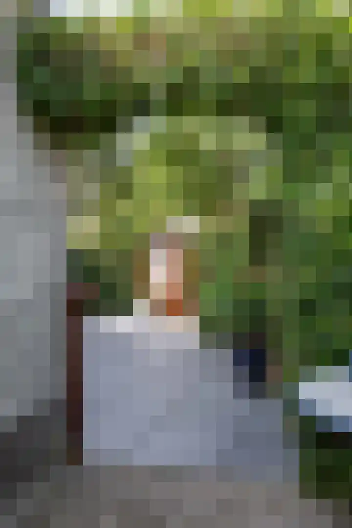Willem Dreeslaan 52 Marum thumbnail 57