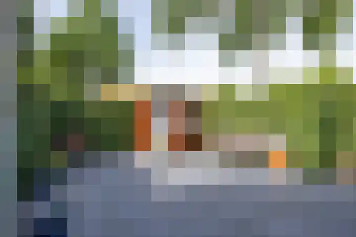 Willem Dreeslaan 52 Marum thumbnail 59