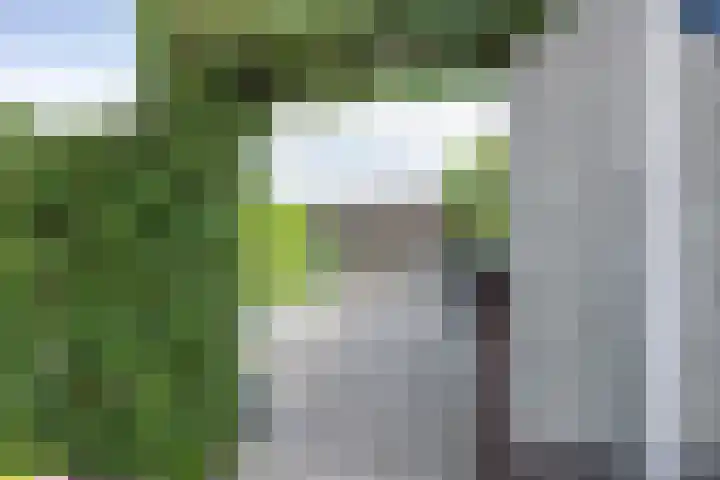 Willem Dreeslaan 52 Marum thumbnail 64