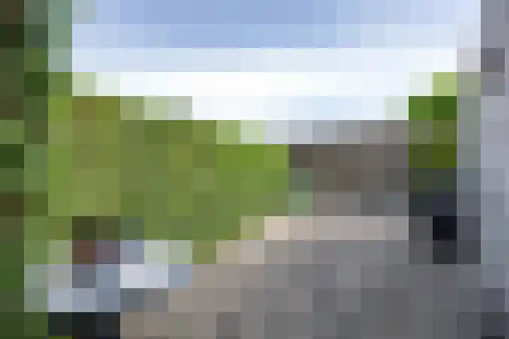 Willem Dreeslaan 52 Marum thumbnail 65