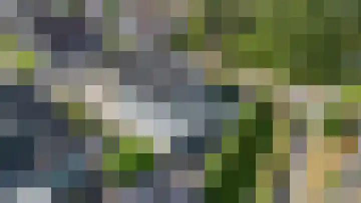 Willem Dreeslaan 52 Marum thumbnail 69