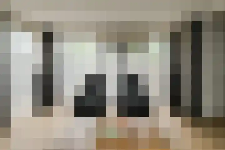 Willem Dreessingel 1 Etten-Leur thumbnail 12