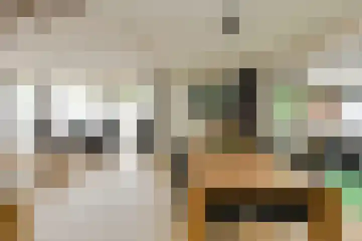 Willem Dreessingel 1 Etten-Leur thumbnail 14