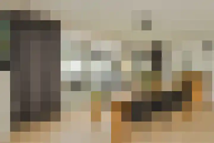 Willem Dreessingel 1 Etten-Leur thumbnail 15