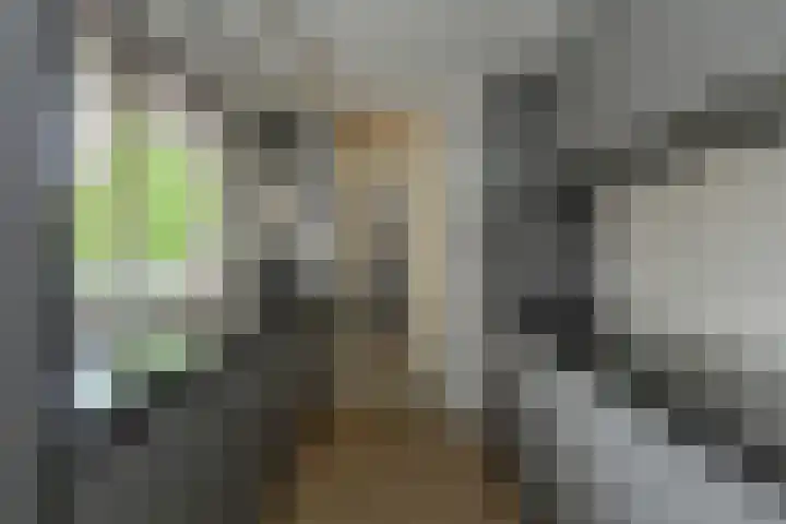 Willem Dreessingel 1 Etten-Leur thumbnail 17