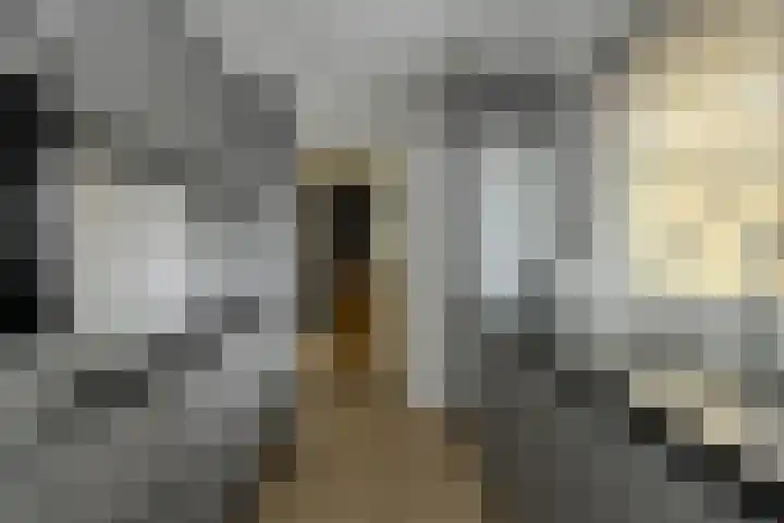Willem Dreessingel 1 Etten-Leur thumbnail 18