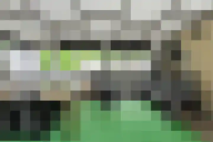 Willem Dreessingel 1 Etten-Leur thumbnail 19