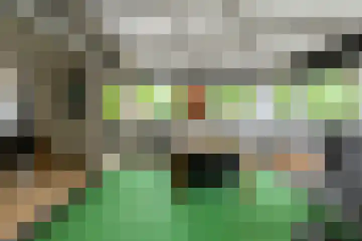 Willem Dreessingel 1 Etten-Leur thumbnail 20