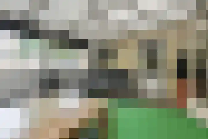 Willem Dreessingel 1 Etten-Leur thumbnail 21