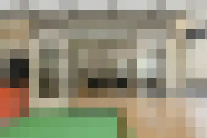 Willem Dreessingel 1 Etten-Leur thumbnail 22