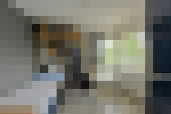 Willem Dreessingel 1 Etten-Leur thumbnail 34