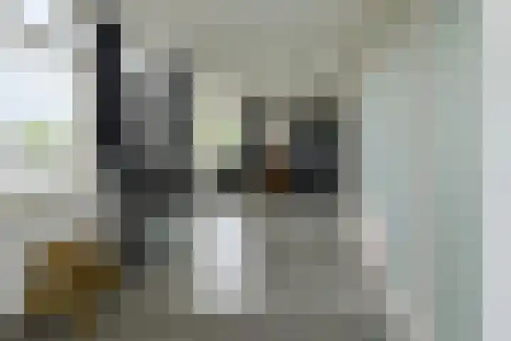Willem Dreessingel 1 Etten-Leur thumbnail 43
