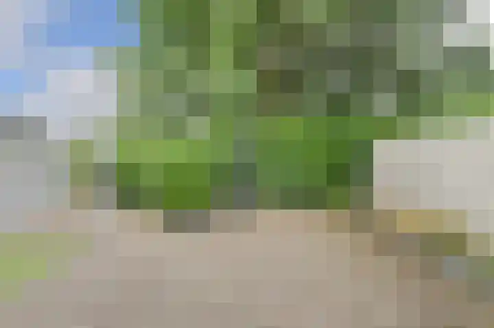 Willem Dreessingel 1 Etten-Leur thumbnail 49