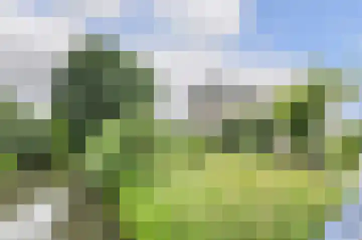 Willem Dreessingel 1 Etten-Leur thumbnail 5