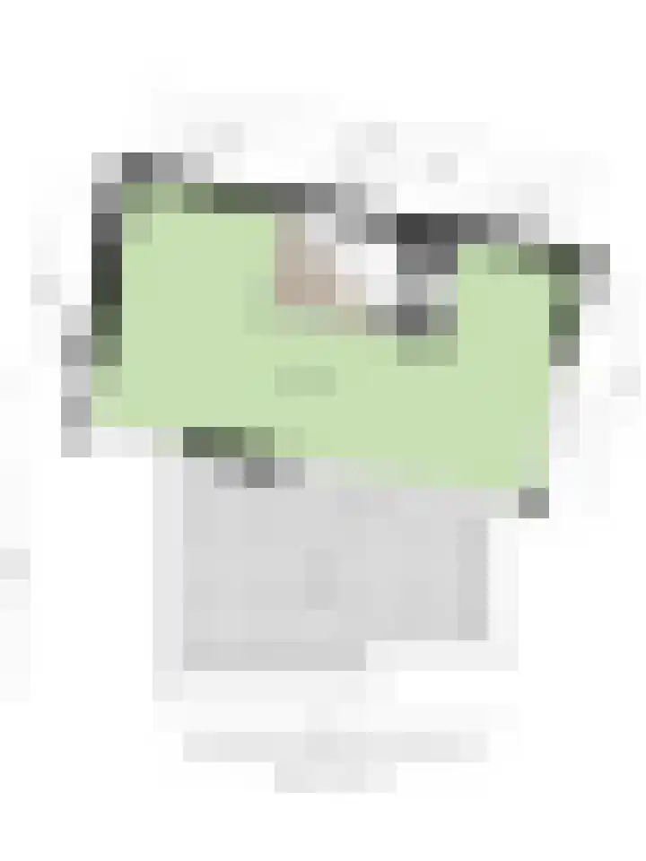Willem Dreessingel 1 Etten-Leur thumbnail 57