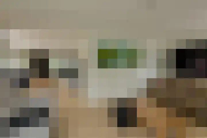 Willem Dreessingel 1 Etten-Leur thumbnail 8