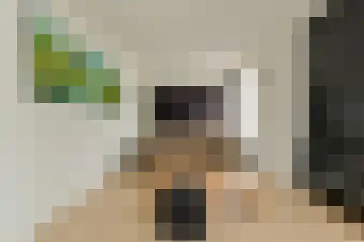 Willem Dreessingel 1 Etten-Leur thumbnail 9