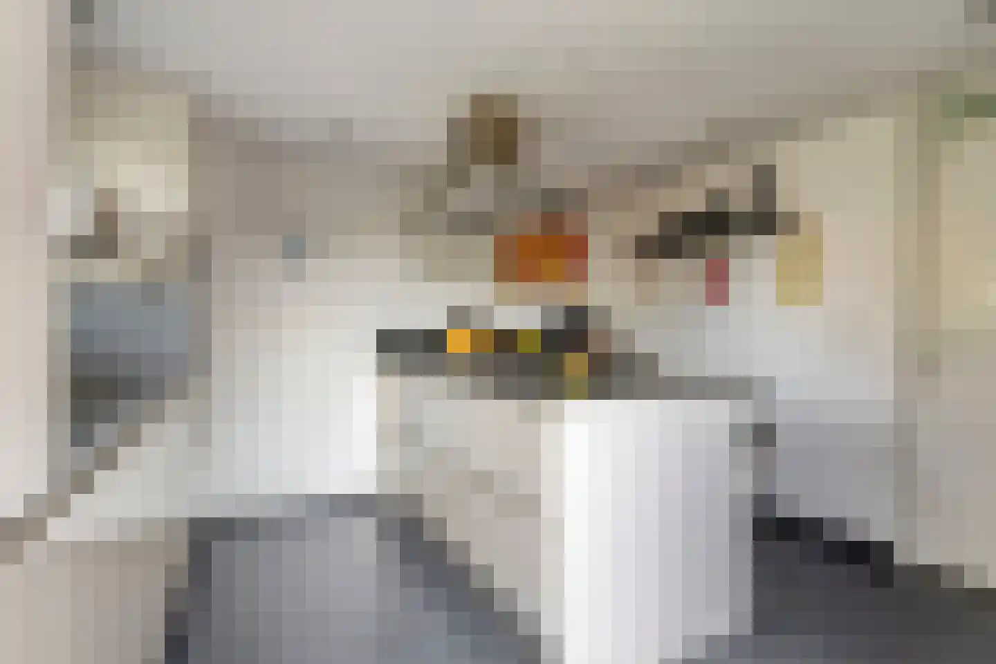 Willem Dreessingel 19 Etten-Leur thumbnail 16