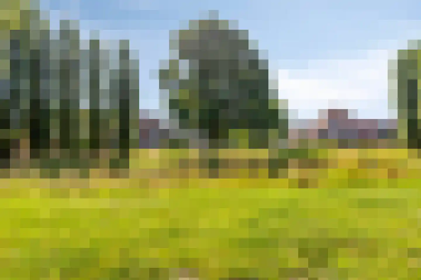 Willem Dreessingel 19 Etten-Leur thumbnail 44