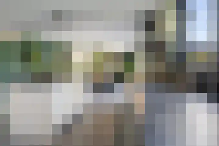 Willem Dreessingel 66 Etten-Leur thumbnail 12