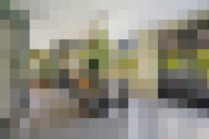Willem Dreessingel 66 Etten-Leur thumbnail 14