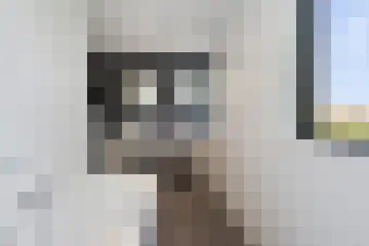 Willem Dreessingel 66 Etten-Leur thumbnail 27