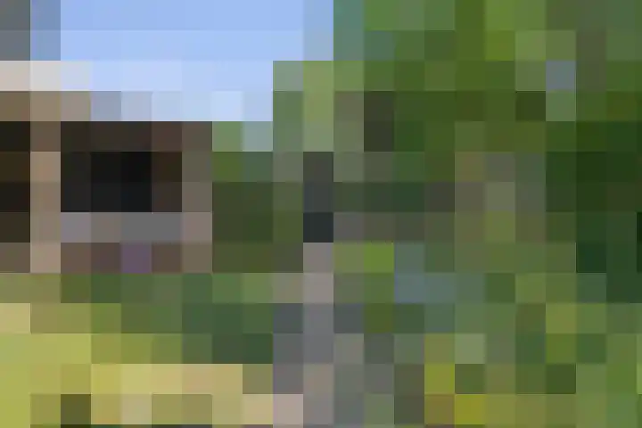 Willem Dreessingel 66 Etten-Leur thumbnail 40
