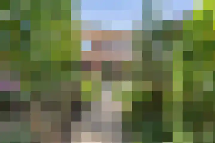 Willem Dreessingel 66 Etten-Leur thumbnail 42