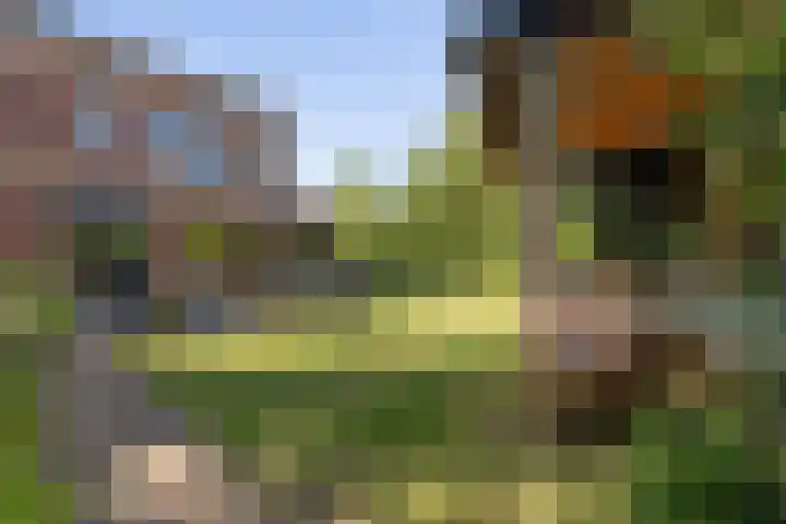 Willem Dreessingel 66 Etten-Leur thumbnail 43