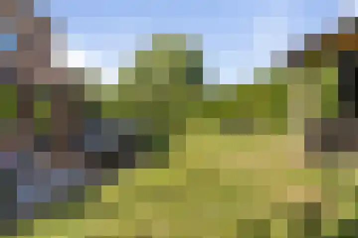 Willem Dreessingel 66 Etten-Leur thumbnail 44