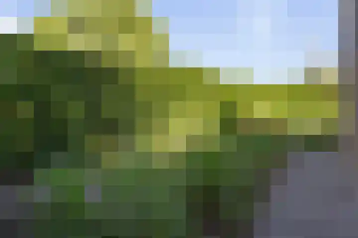 Willem Dreessingel 66 Etten-Leur thumbnail 46