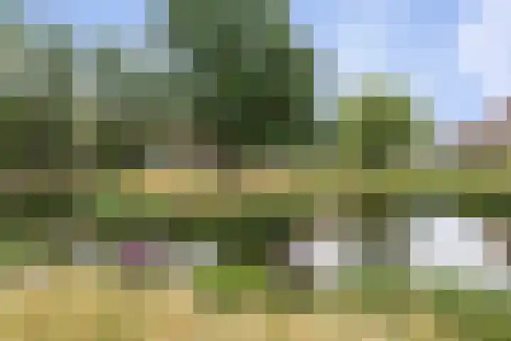 Willem Dreessingel 66 Etten-Leur thumbnail 49