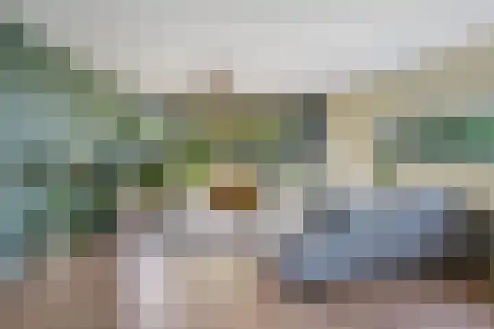 Willem Dreessingel 66 Etten-Leur thumbnail 6