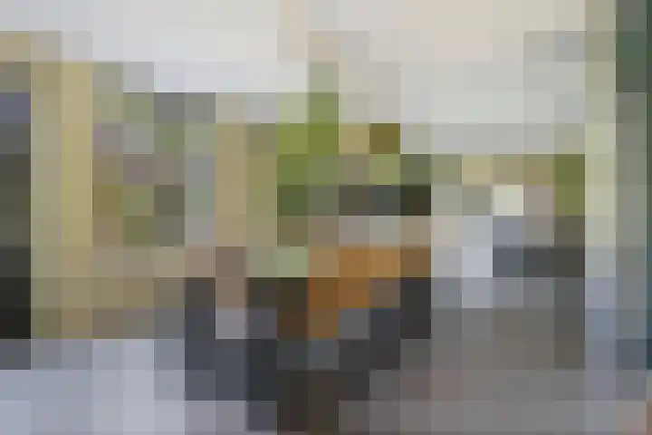 Willem Dreessingel 66 Etten-Leur thumbnail 9