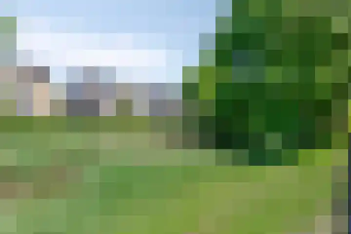 Willem Dreessingel 77 Etten-Leur thumbnail 37