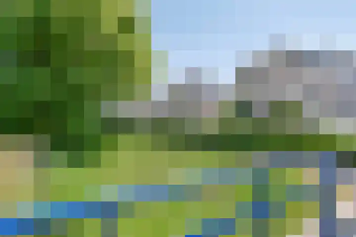 Willem Dreessingel 77 Etten-Leur thumbnail 6