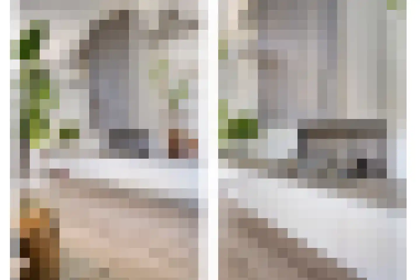 Willem Dreesstraat 14 Ridderkerk thumbnail 17