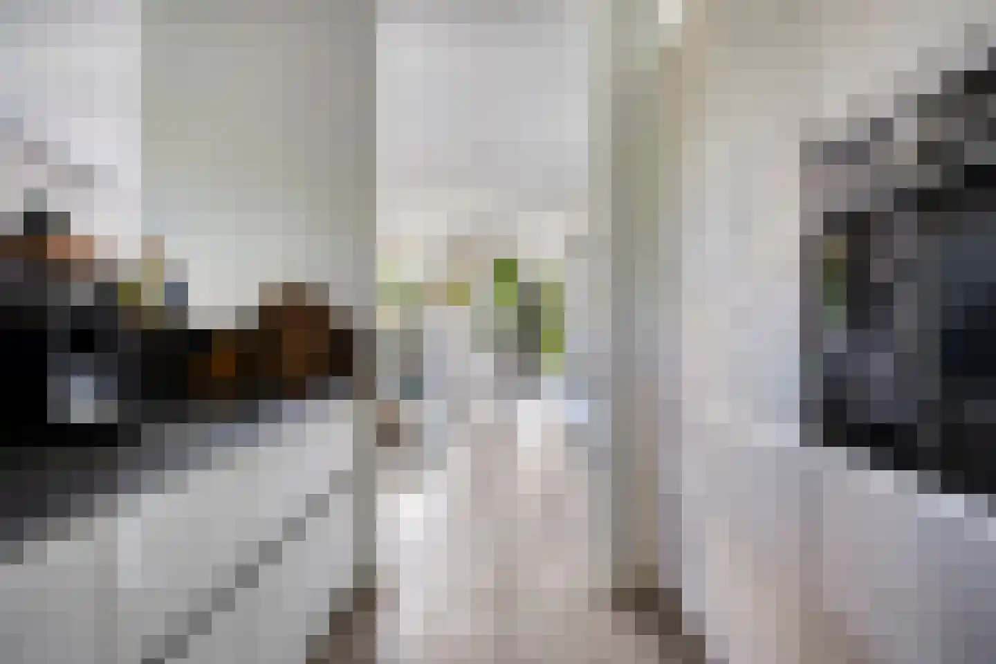 Willem Dreesstraat 14 Ridderkerk thumbnail 23