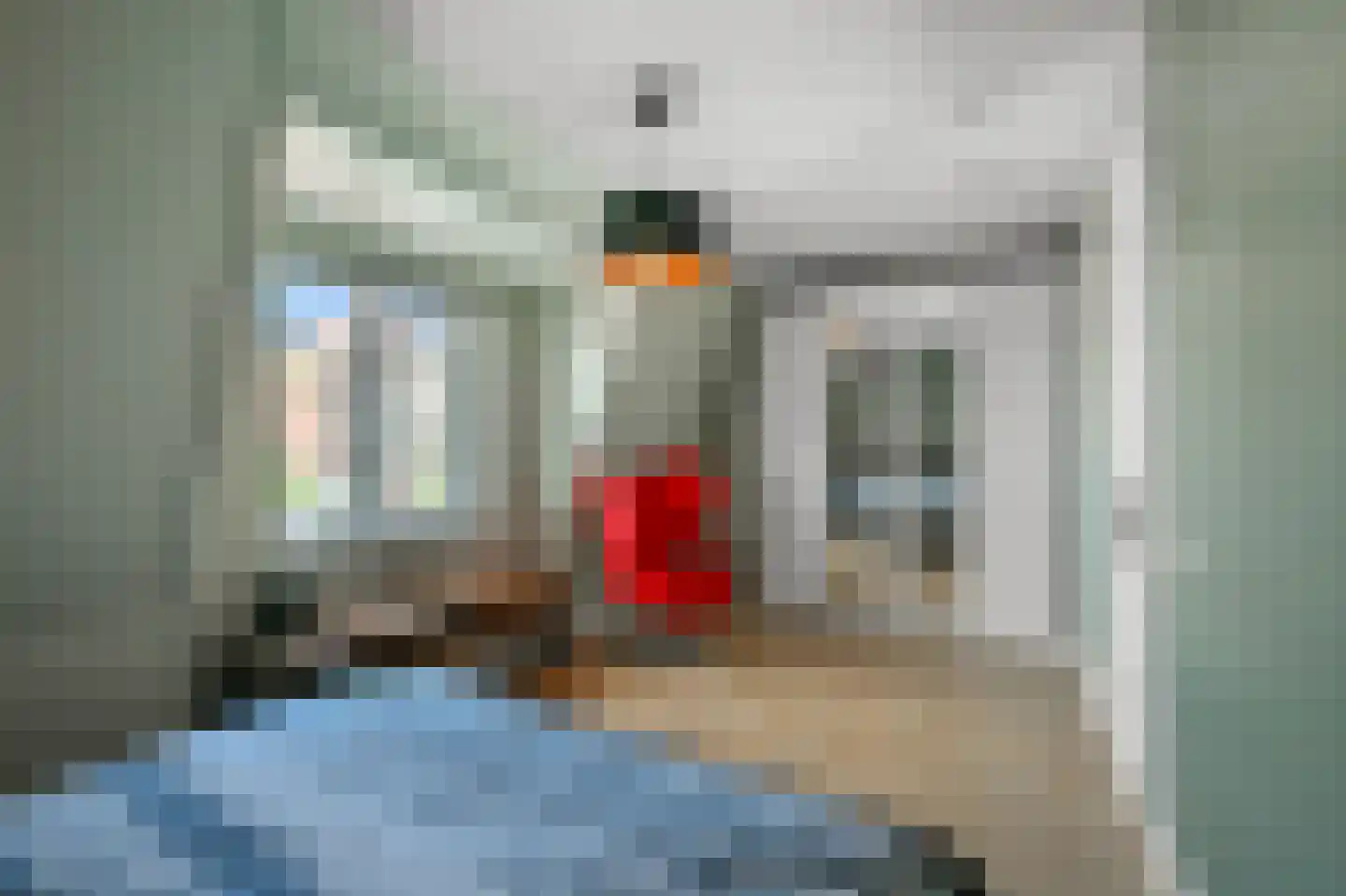 Willem Dreesstraat 23 Alphen aan den Rijn thumbnail 26