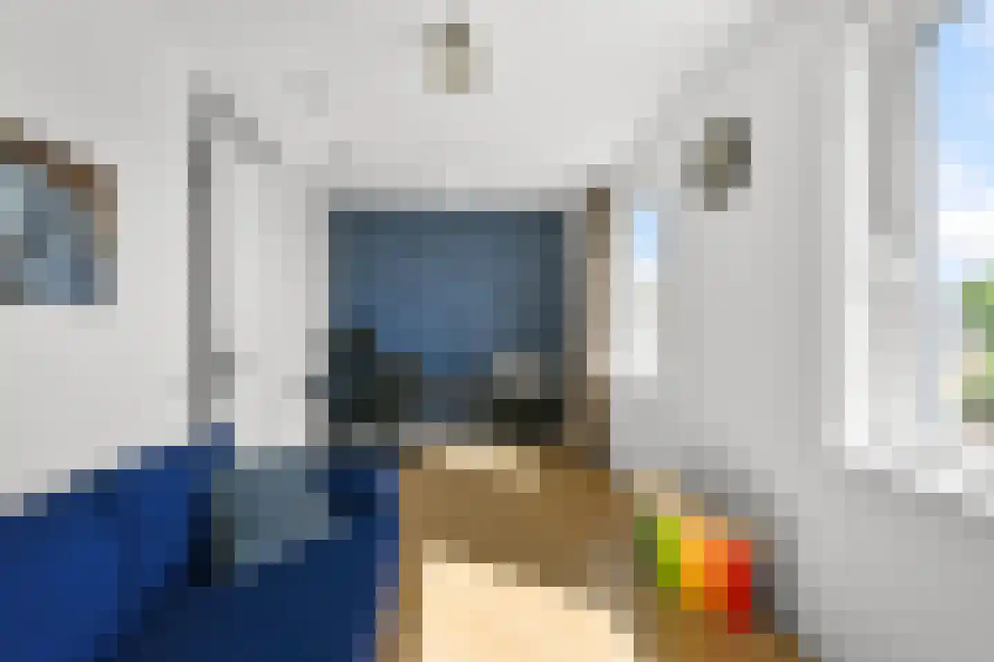 Willem Dreesstraat 23 Alphen aan den Rijn thumbnail 32
