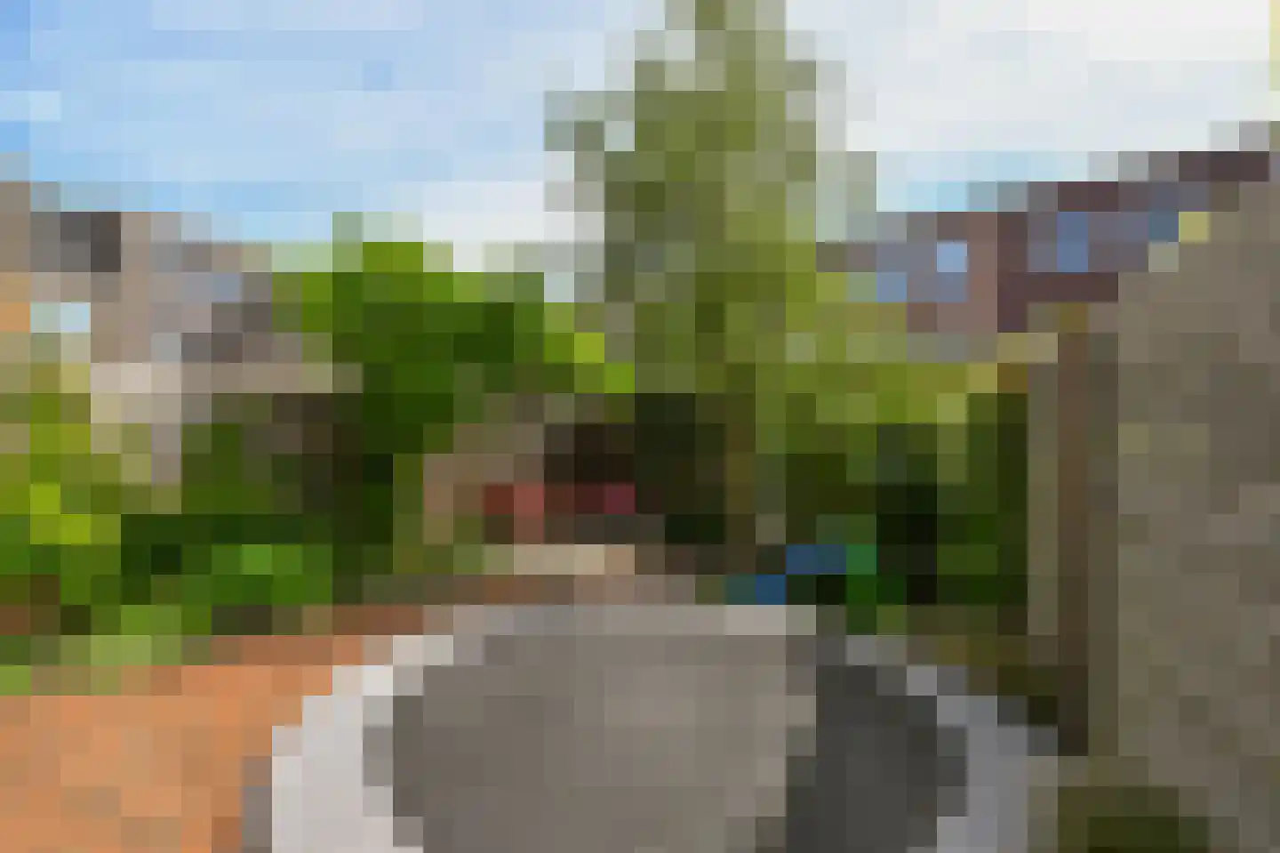 Willem Dreesstraat 23 Alphen aan den Rijn thumbnail 34