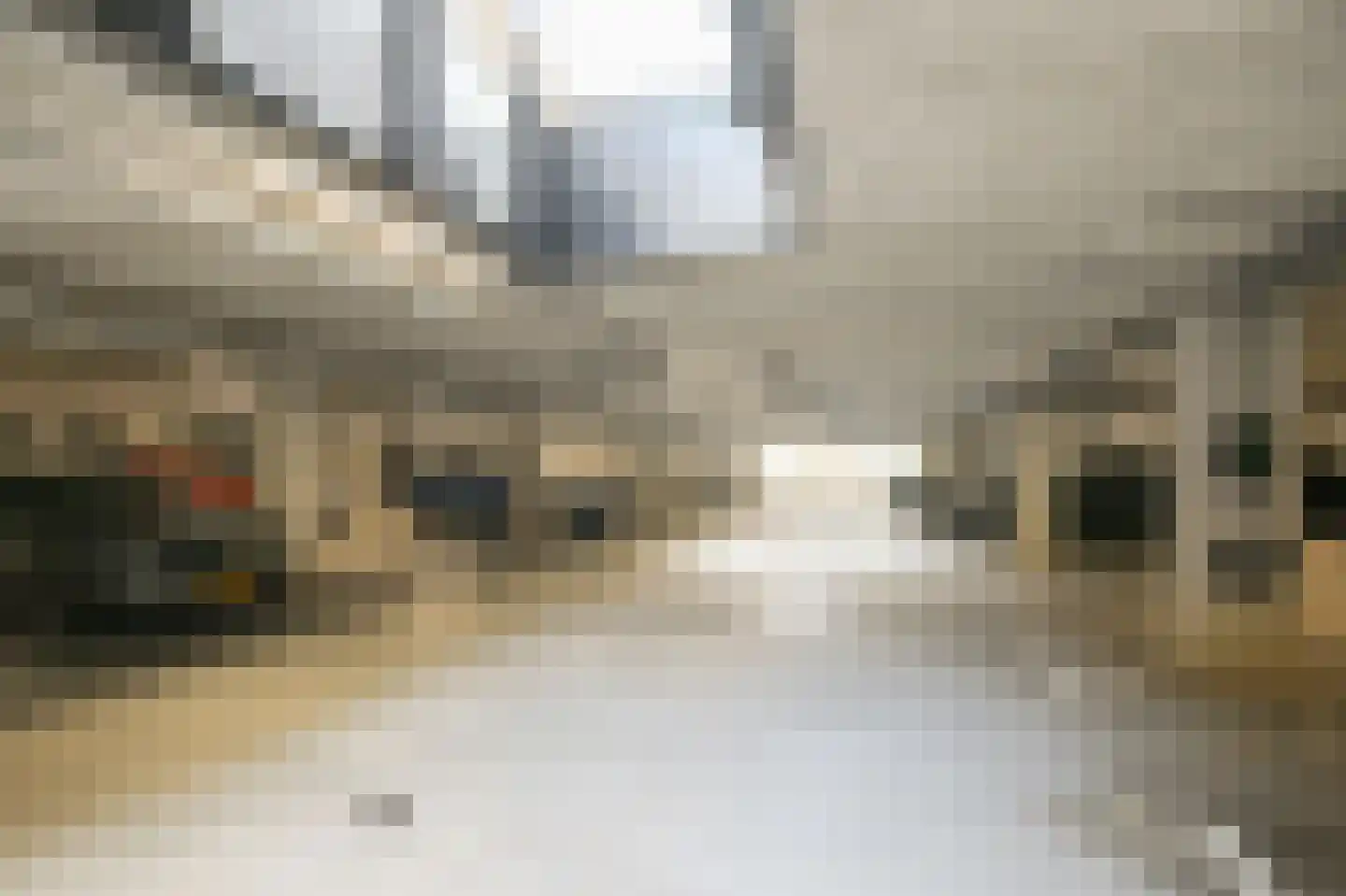 Willem Dreesstraat 23 Alphen aan den Rijn thumbnail 40